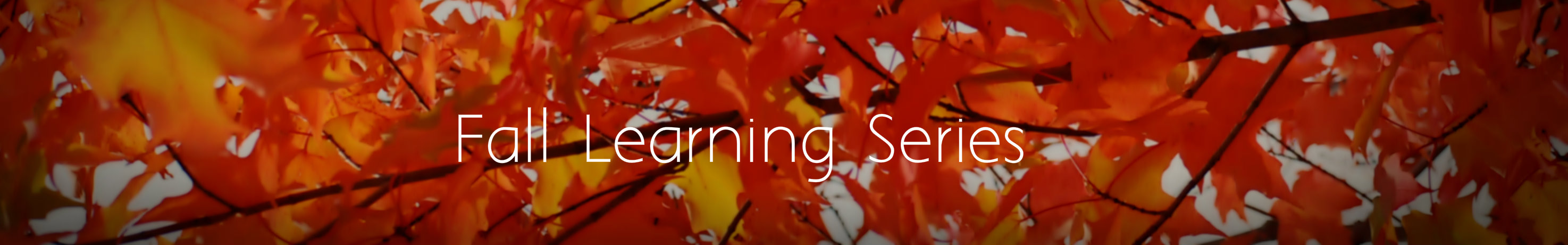 Fall_Learning_Series.jpg